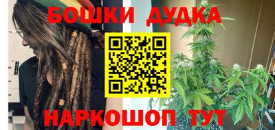 крисы Сланцы